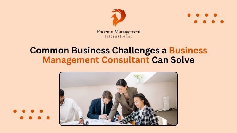 Business Challenges a Business Management Consultant