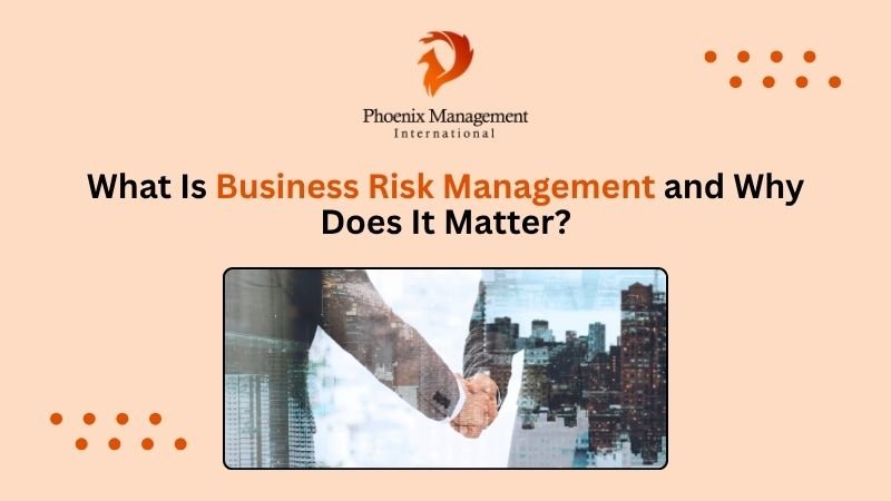 What Is Business Risk Management